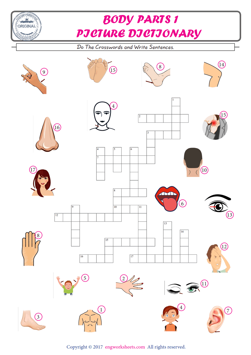  ESL printable worksheet for kids, supply the missing words of the crossword by using the Body Parts picture. 